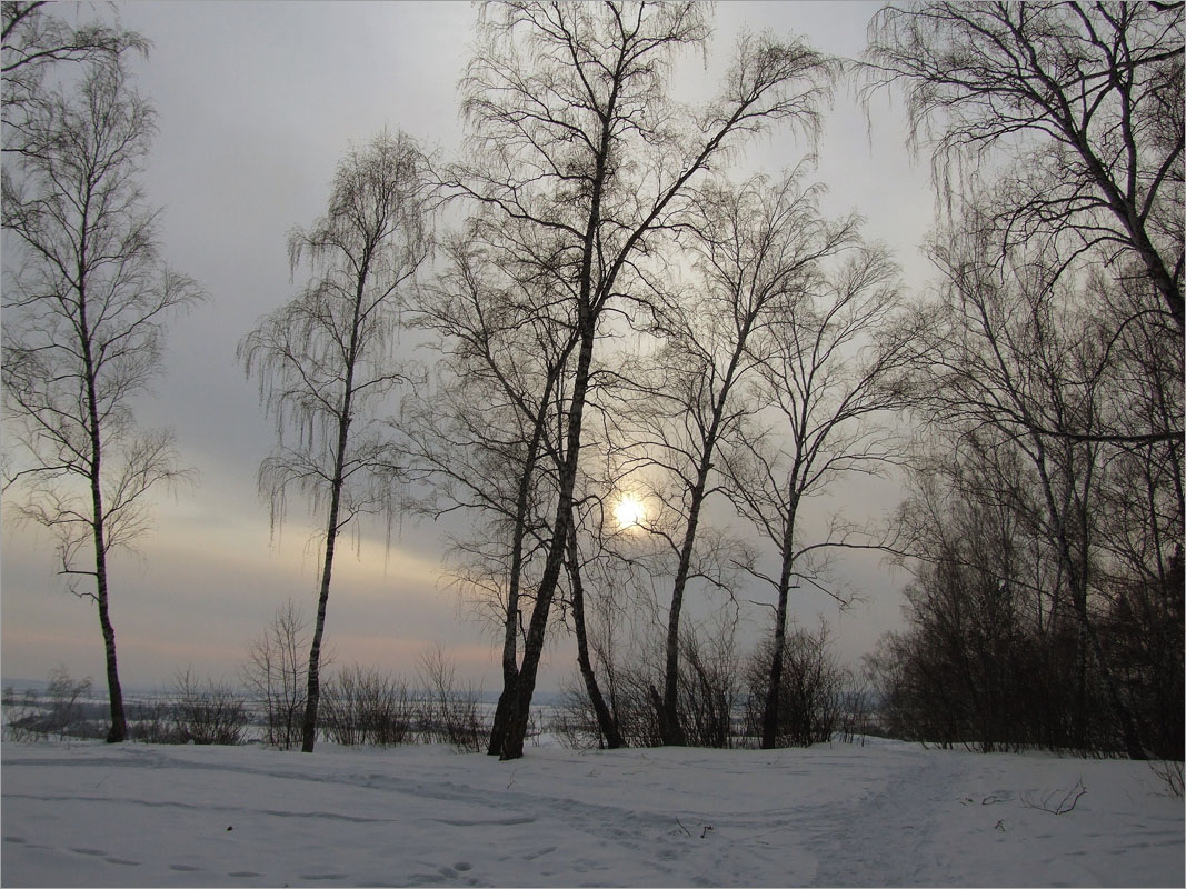 ��������..4 ����� dedo ������. �� PhotoGeek.ru #������ ��� ������� #���������