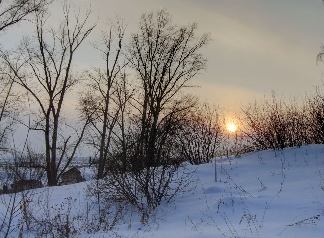 ��������...5 ����� dedo ������. �� PhotoGeek.ru #������ ��� ������� #���������