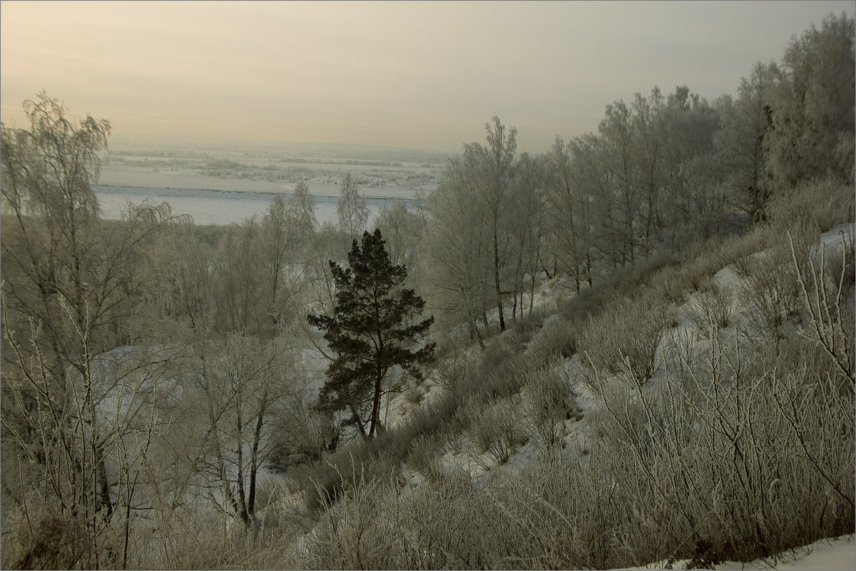 ����� �����... ����� dedo ������. �� PhotoGeek.ru #������ ��� ������� #���������