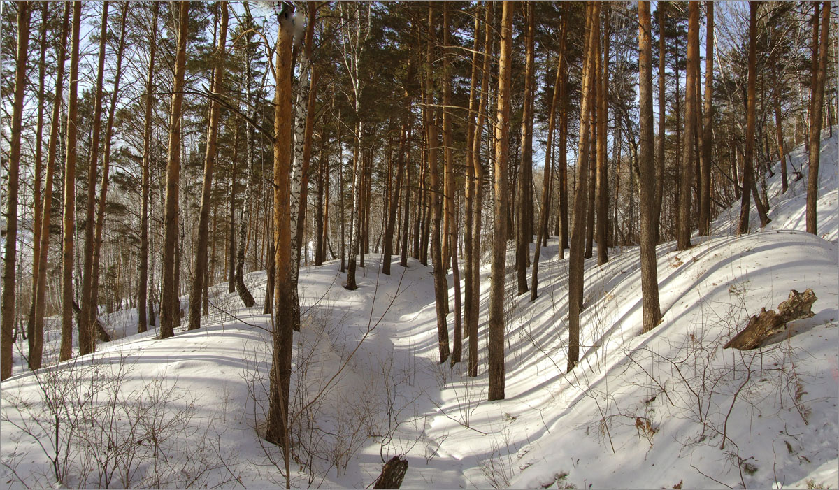 ��������� ����... ����� dedo ������. �� PhotoGeek.ru #������ ��� ������� #���������