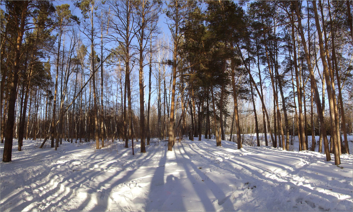 ��������� ����...2 ����� dedo ������. �� PhotoGeek.ru #������ ��� ������� #����� ��������������