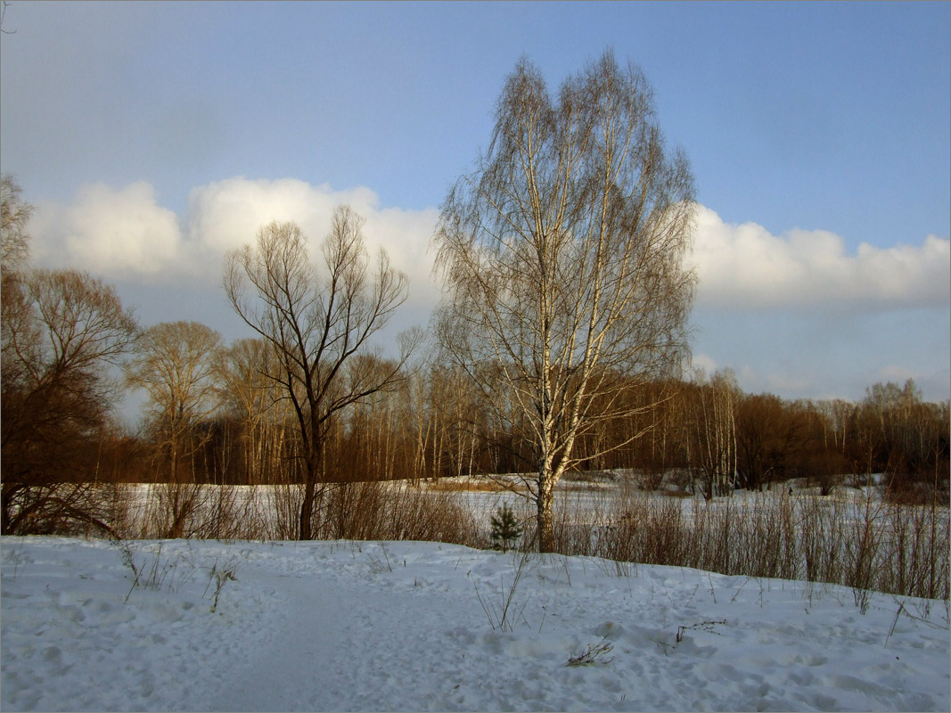 �������� ��������... ����� dedo ������. �� PhotoGeek.ru #������ ��� ������� #���������