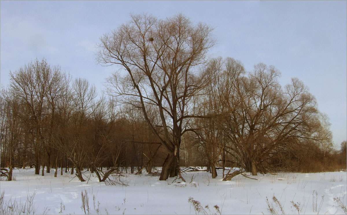 ���� �� ������..3 ����� dedo ������. �� PhotoGeek.ru #������ ��� ������� #���������