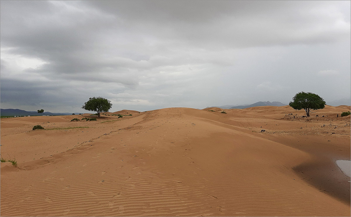 ��������...2 ����� dedo ������. �� PhotoGeek.ru #������ ��� ������� #���������