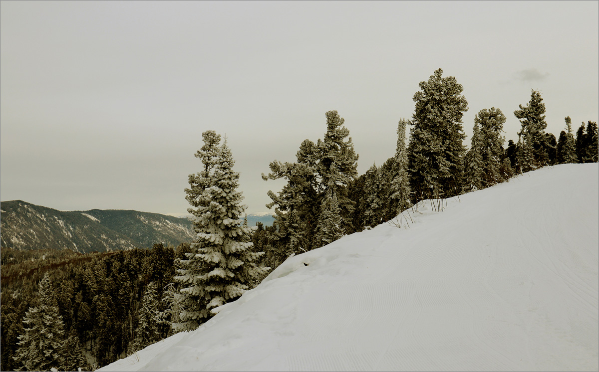 �����-63 ����� dedo ������. �� PhotoGeek.ru #������ ��� ������� #����� ��������