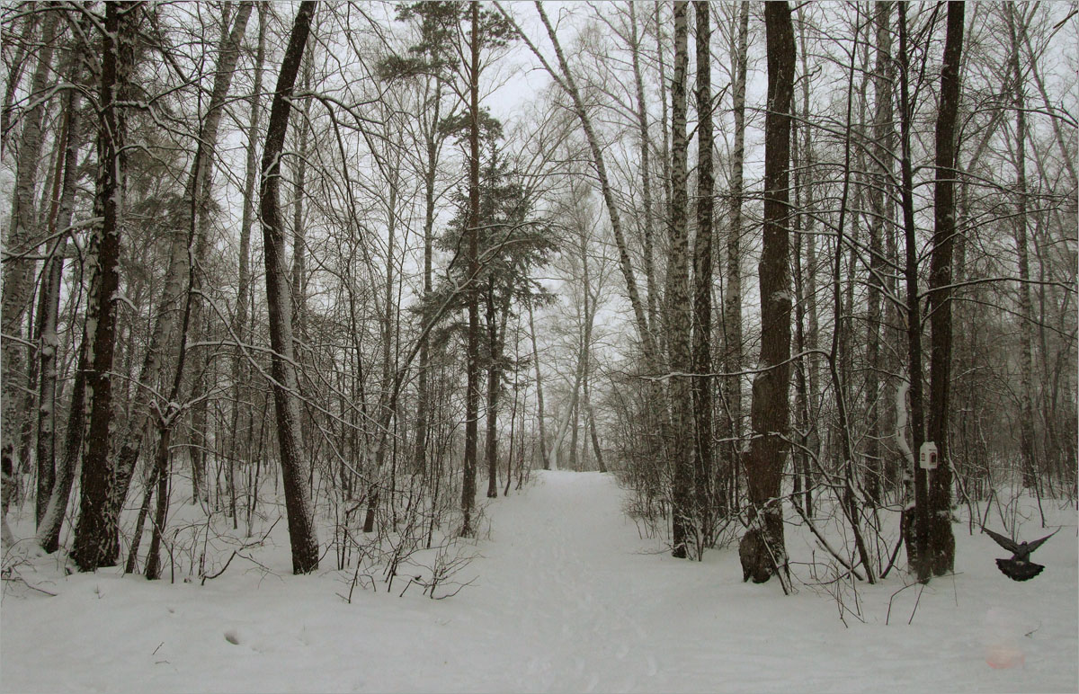 �������� ����... ����� dedo ������. �� PhotoGeek.ru #������ ��� ������� #���������