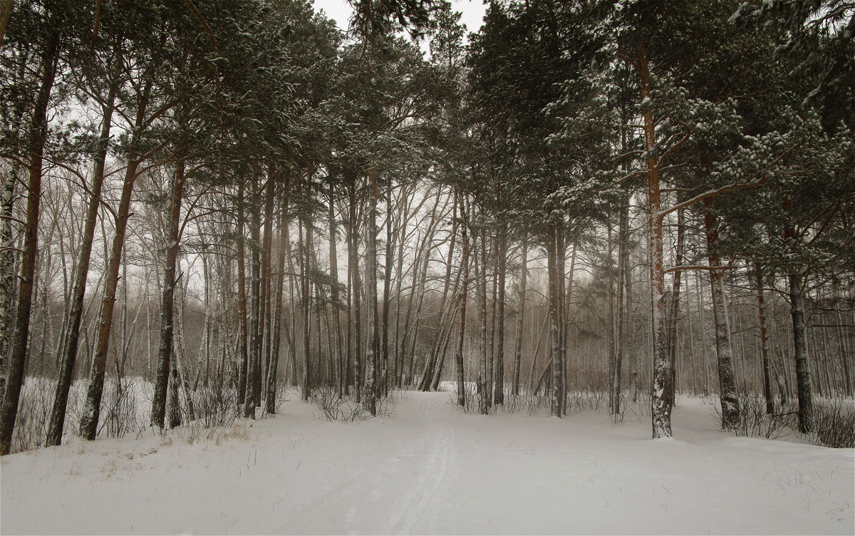 �������� ����...3 ����� dedo ������. �� PhotoGeek.ru #������ ��� ������� #����� ��������������