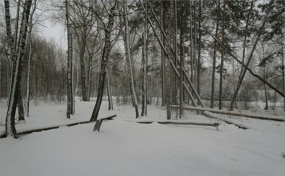 �������� ����...4 ����� dedo ������. �� PhotoGeek.ru #������ ��� ������� #���������