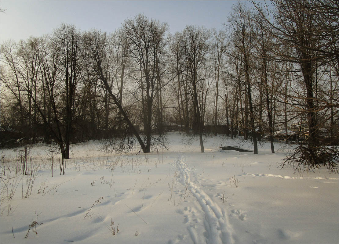 ���� �� ������..4 ����� dedo ������. �� PhotoGeek.ru #������ ��� ������� #���������