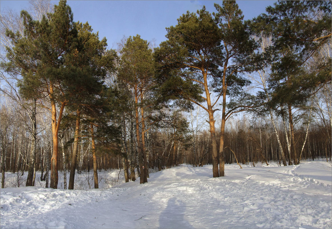 ���� �� ������..5 ����� dedo ������. �� PhotoGeek.ru #������ ��� ������� #���������