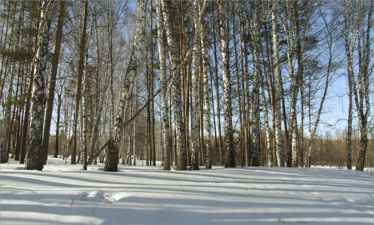 ����... ����� dedo ������. �� PhotoGeek.ru #������ ��� ������� #���������