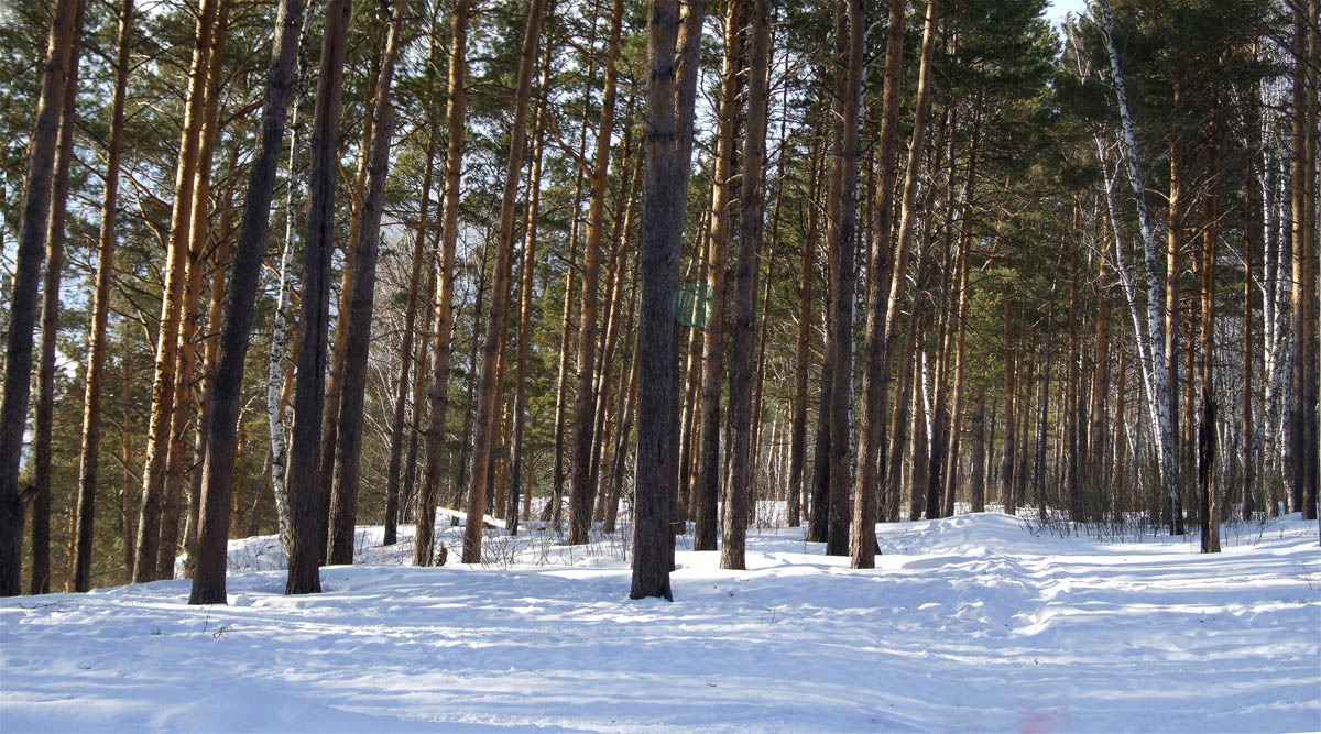 ����...2 ����� dedo ������. �� PhotoGeek.ru #������ ��� ������� #���������