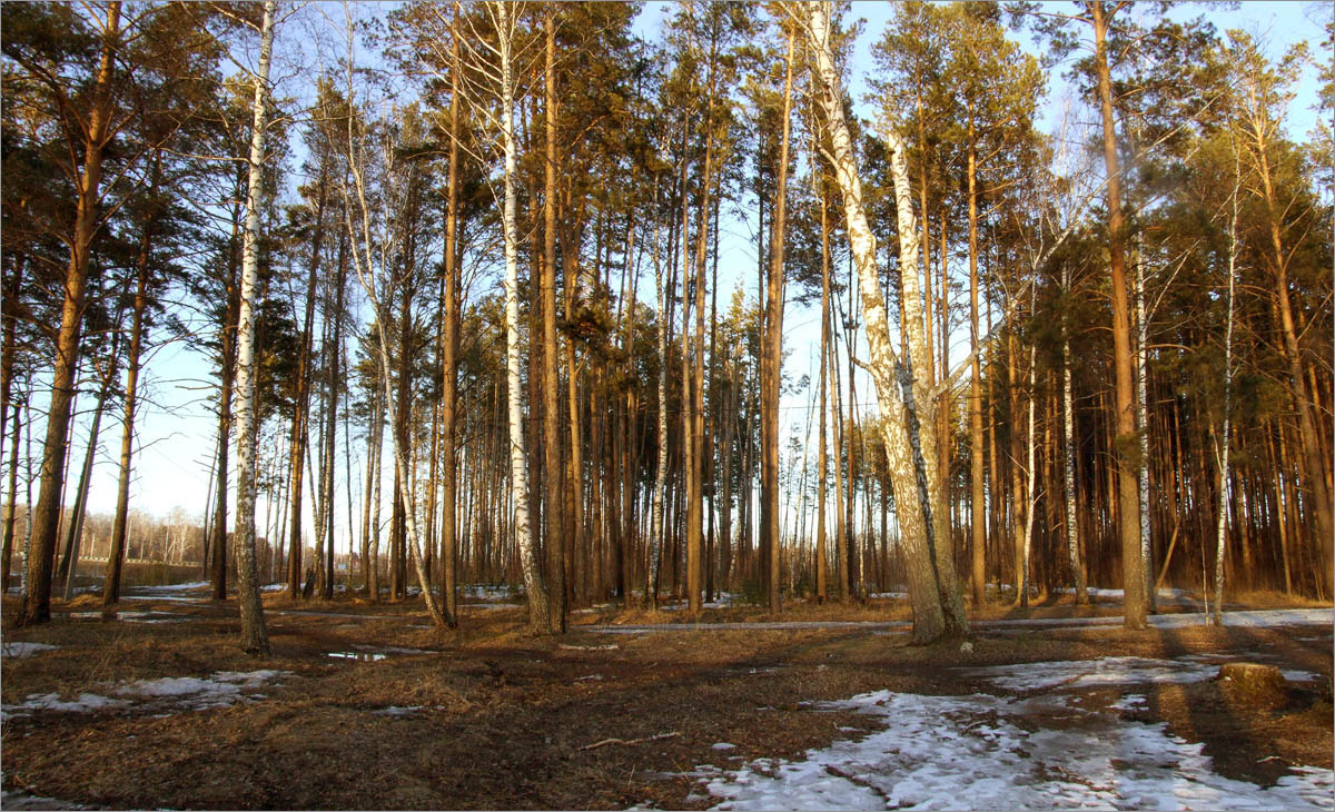 ����� ���������... ����� dedo ������. �� PhotoGeek.ru #������ ��� ������� #����� ��������������