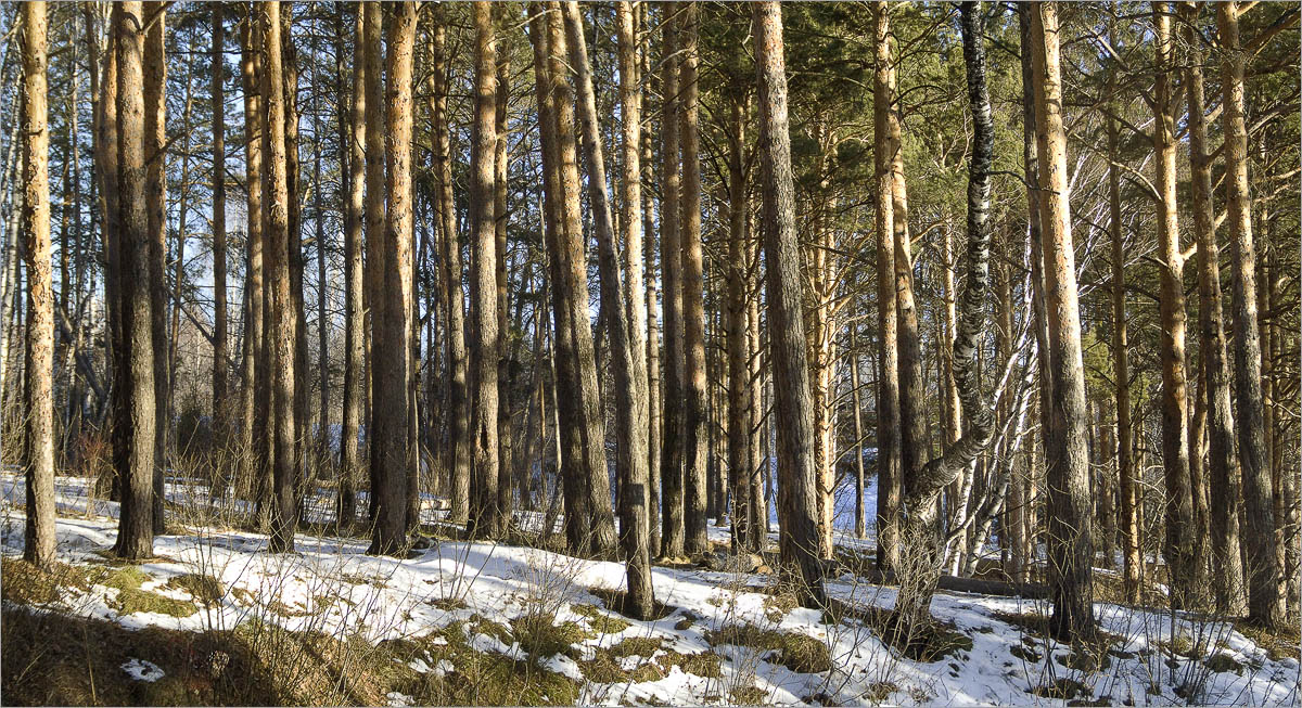 ����� ���������...2 ����� dedo ������. �� PhotoGeek.ru #������ ��� ������� #����� ��������������