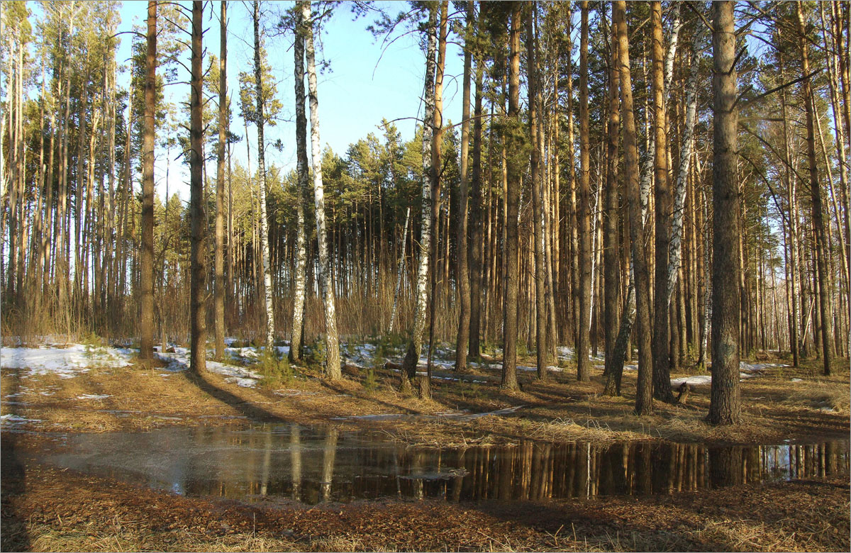 ����� ���������...4 ����� dedo ������. �� PhotoGeek.ru #������ ��� ������� #���������