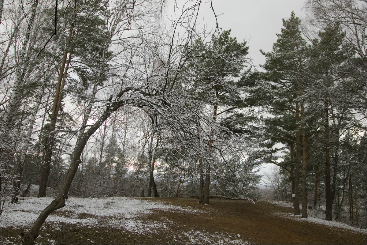 ���� �� ������..5 ����� dedo ������. �� PhotoGeek.ru #������ ��� ������� #���������