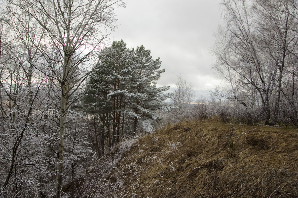 ���� �� ������..6 ����� dedo ������. �� PhotoGeek.ru #������ ��� ������� #���������