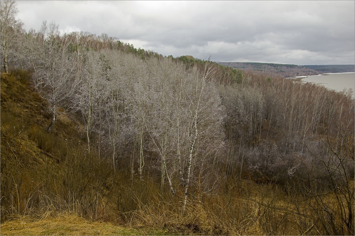 ���� �� ������..6 ����� dedo ������. �� PhotoGeek.ru #������ ��� ������� #���������