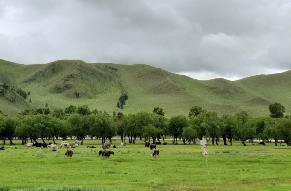 ��������..4 ����� dedo ������. �� PhotoGeek.ru #������ ��� ������� #���������