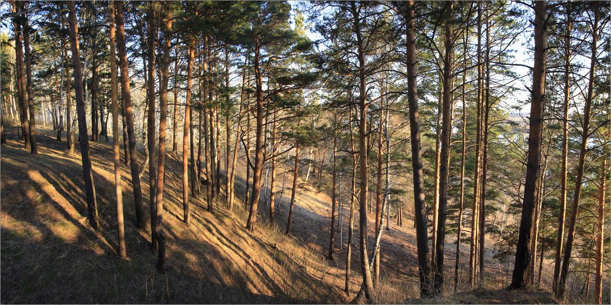 �������� ��������... ����� dedo ������. �� PhotoGeek.ru #������ ��� ������� #���������