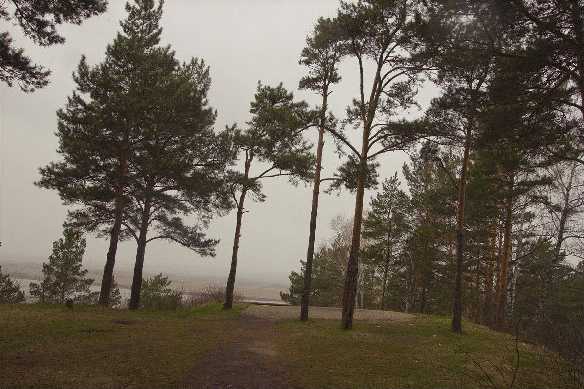 ��������... ����� dedo ������. �� PhotoGeek.ru #������ ��� ������� #���������