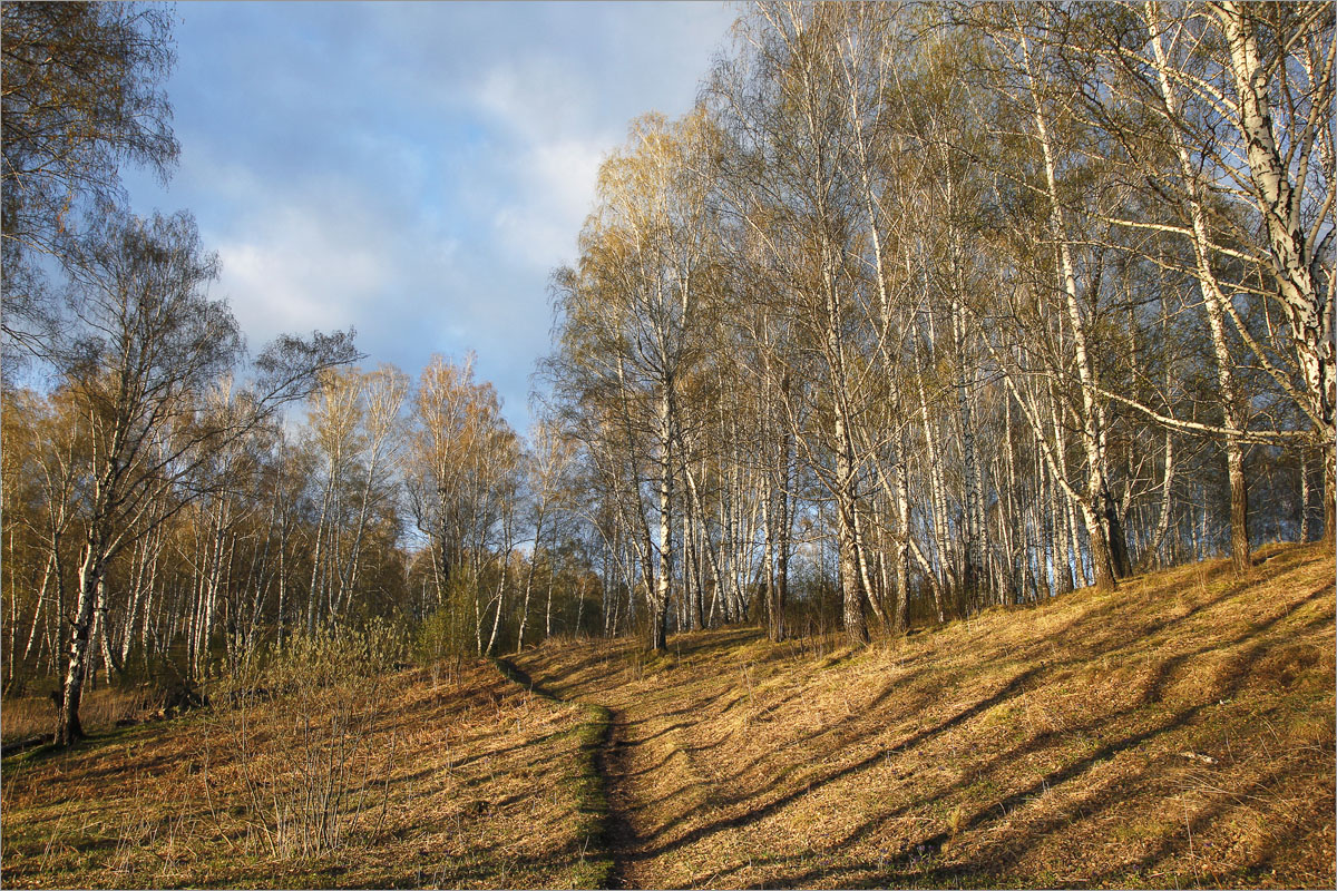 � ������� ������� ����... ����� dedo ������. �� PhotoGeek.ru #������ ��� ������� #���������