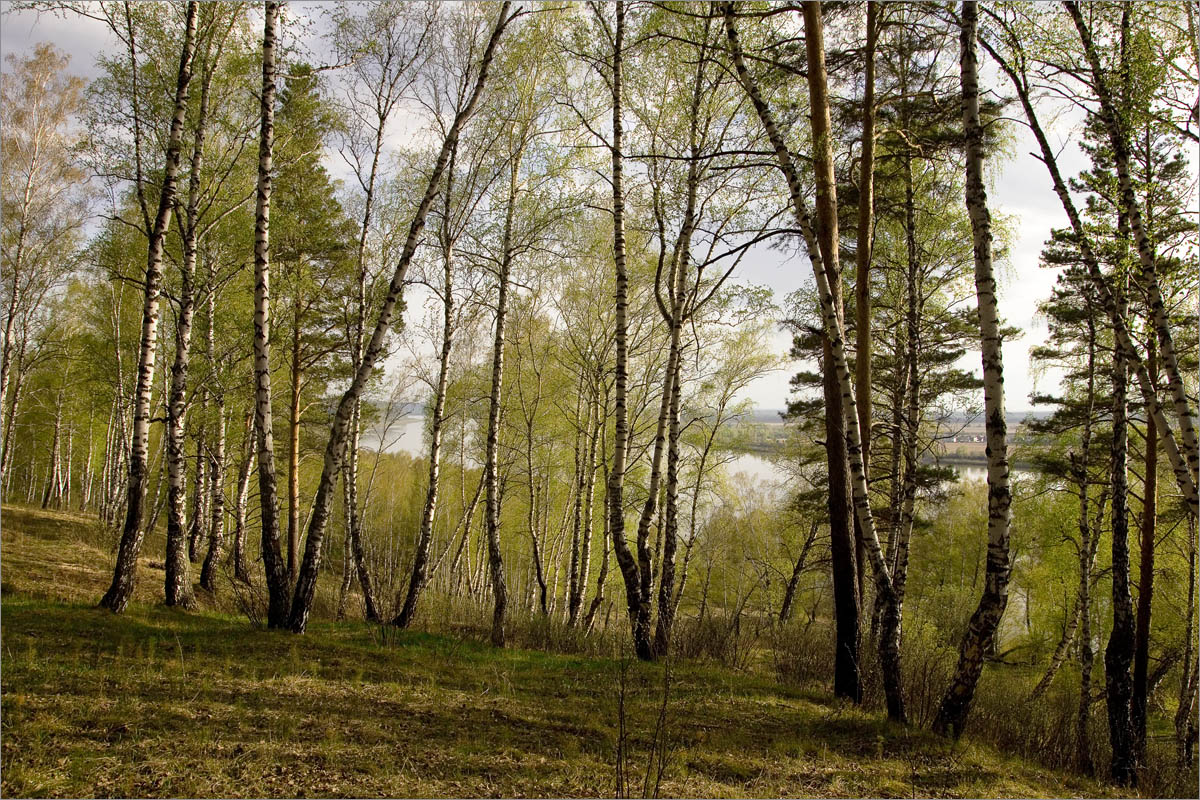 ������ �������.. ����� dedo ������. �� PhotoGeek.ru #������ ��� ������� #���������