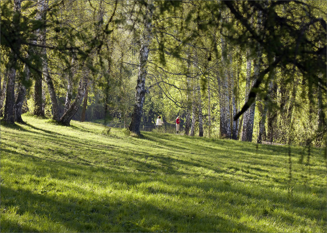 ����� � ����..3 ����� dedo ������. �� PhotoGeek.ru #������ ��� ������� #���������