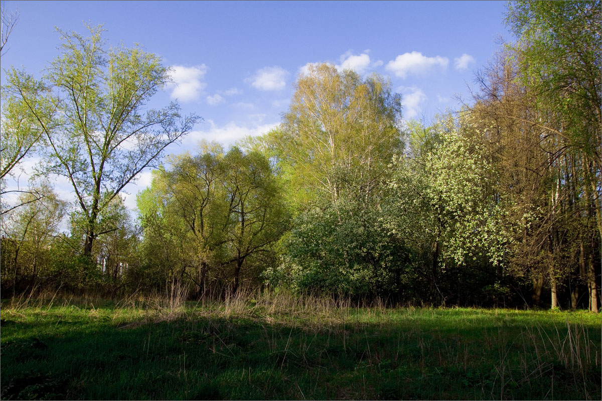 ����� � ����..4 ����� dedo ������. �� PhotoGeek.ru #������ ��� ������� #���������