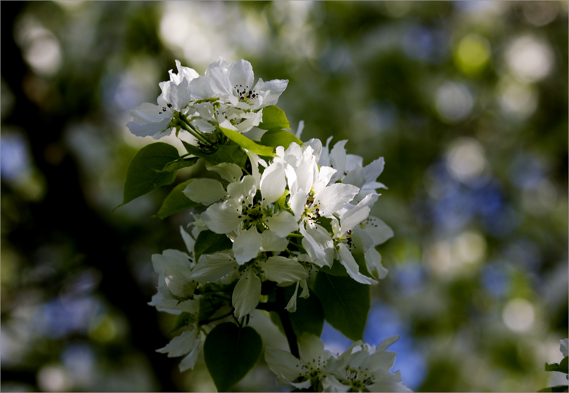 ����� � ����..5 ����� dedo ������. �� PhotoGeek.ru #������ ��� ������� #���������