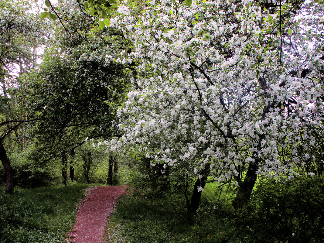 �������� ��������... ����� dedo ������. �� PhotoGeek.ru #������ ��� ������� #���������