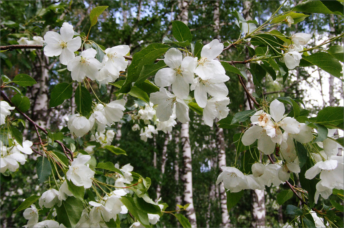 ����� � ����..6 ����� dedo ������. �� PhotoGeek.ru #������ ��� ������� #����� ��������������