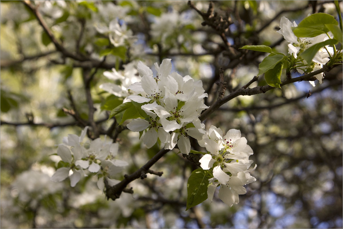 ����� � ����.. ����� dedo ������. �� PhotoGeek.ru #������ ��� ������� #����� ��������������