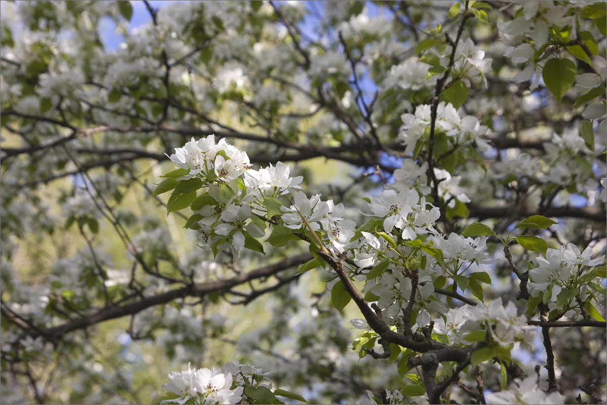 �������� ��������... ����� dedo ������. �� PhotoGeek.ru #������ ��� ������� #����� ��������������