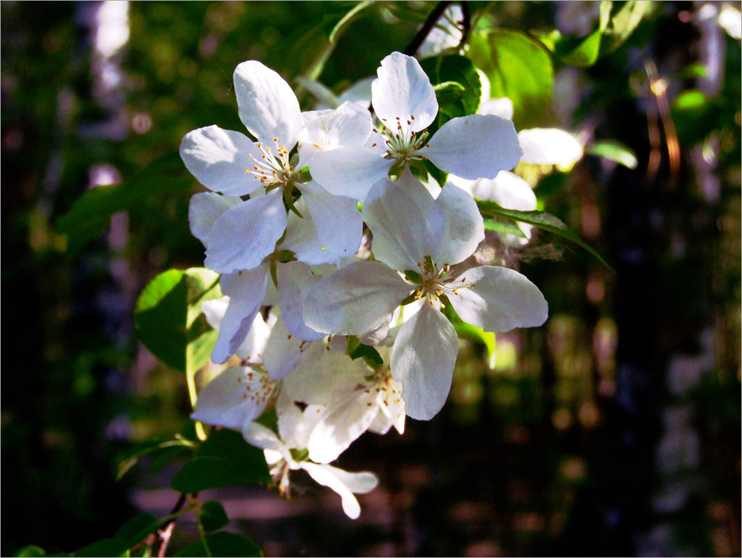 ��������.. ����� dedo ������. �� PhotoGeek.ru #������ ��� ������� #����� ��������������