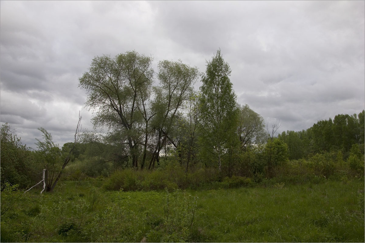 ��������... ����� dedo ������. �� PhotoGeek.ru #������ ��� ������� #���������