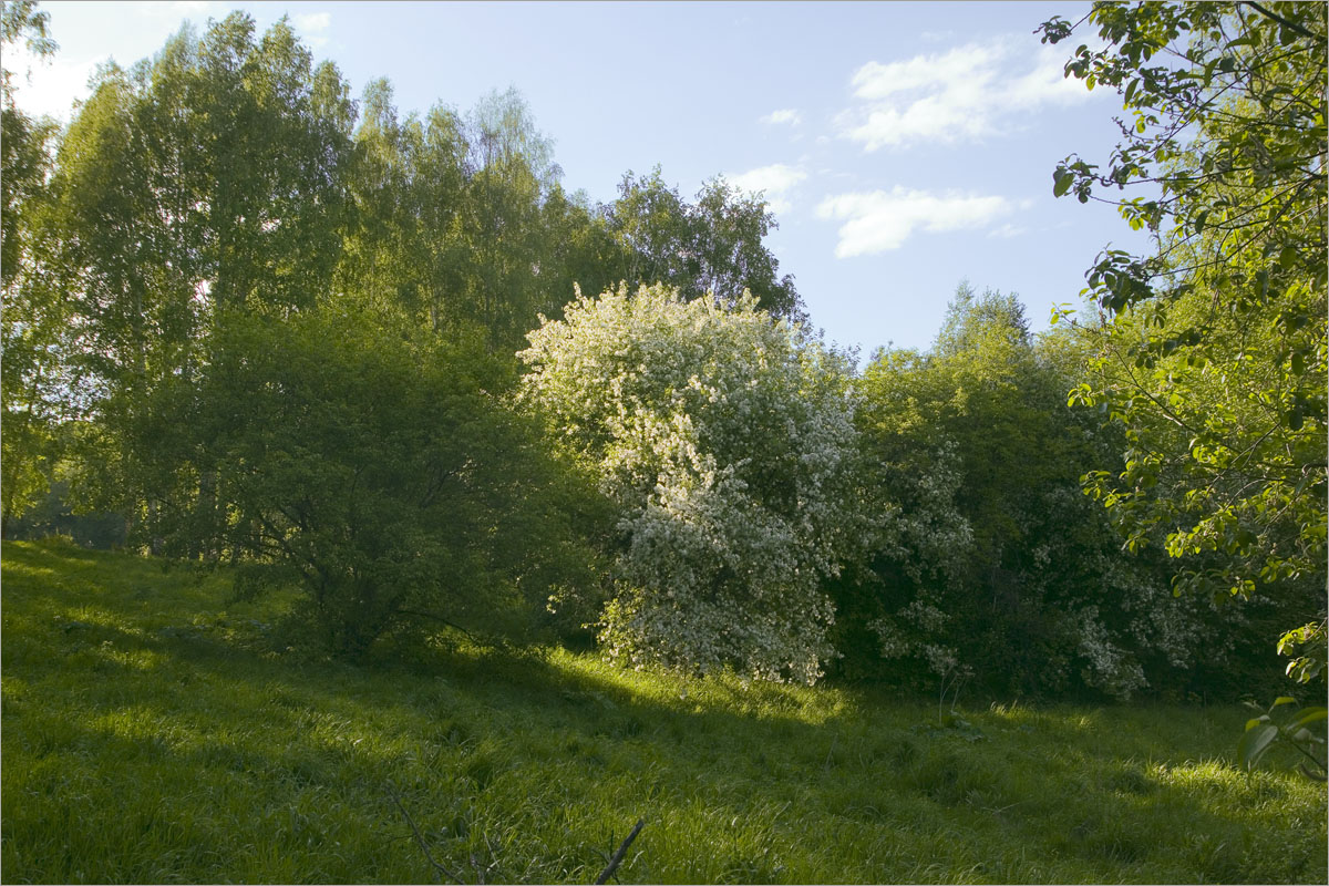 ����� � ����.. ����� dedo ������. �� PhotoGeek.ru #������ ��� ������� #���������