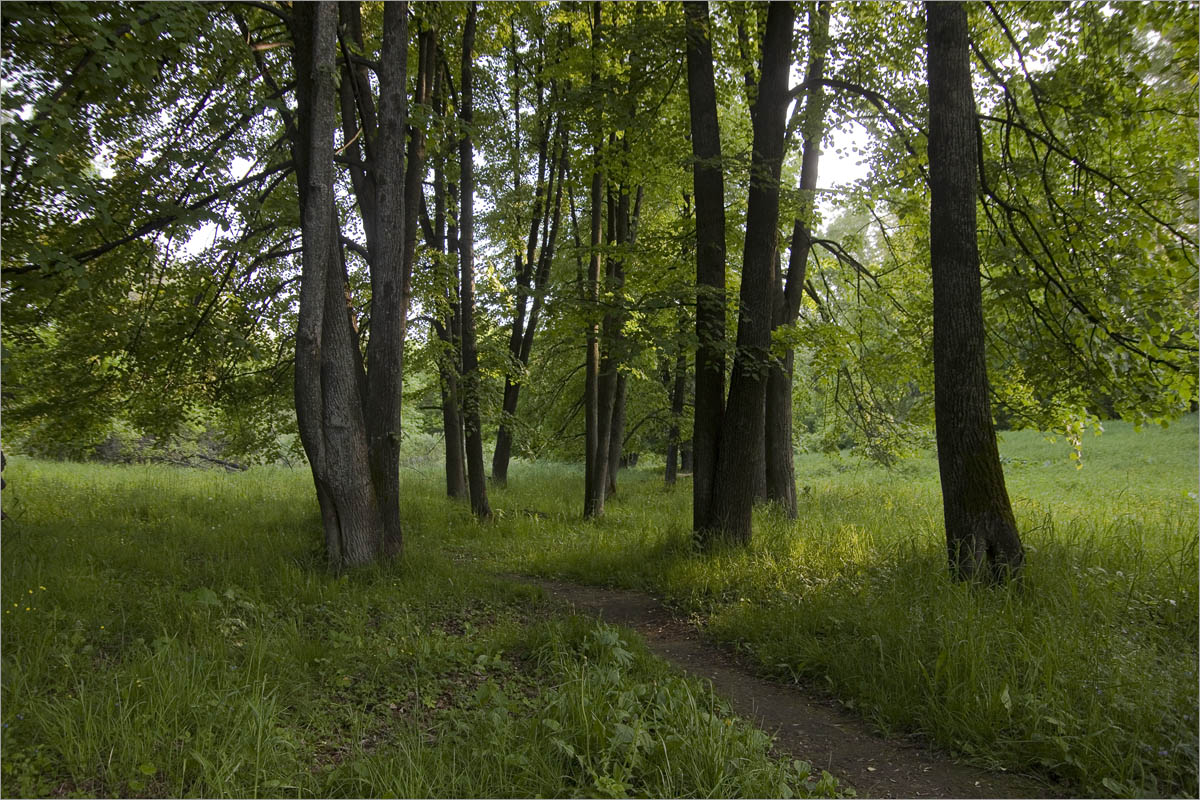 �������� ��������... ����� dedo ������. �� PhotoGeek.ru #������ ��� ������� #����� ��������������