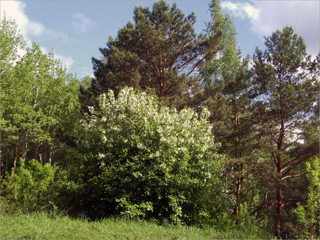 ����� � ����.. ����� dedo ������. �� PhotoGeek.ru #������ ��� ������� #����� ��������������