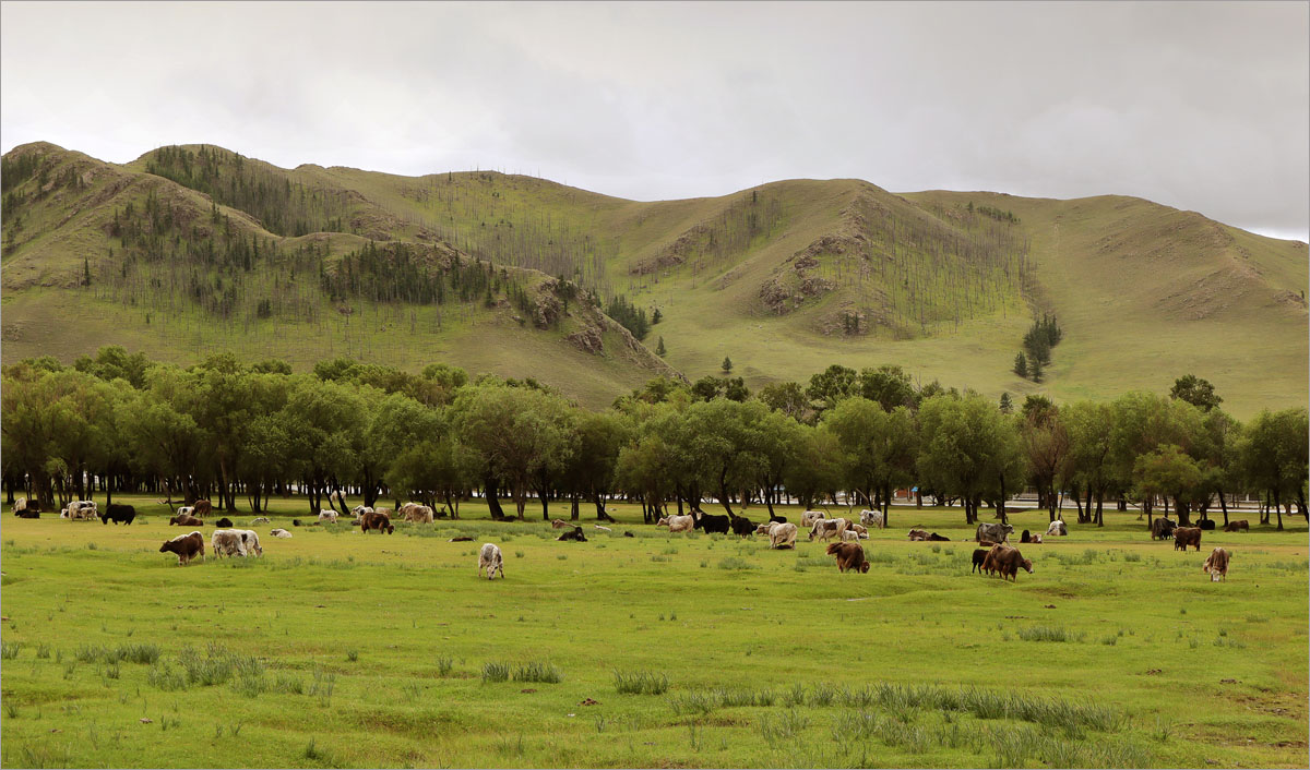 ��������.4 ����� dedo ������. �� PhotoGeek.ru #������ ��� ������� #����� ��������