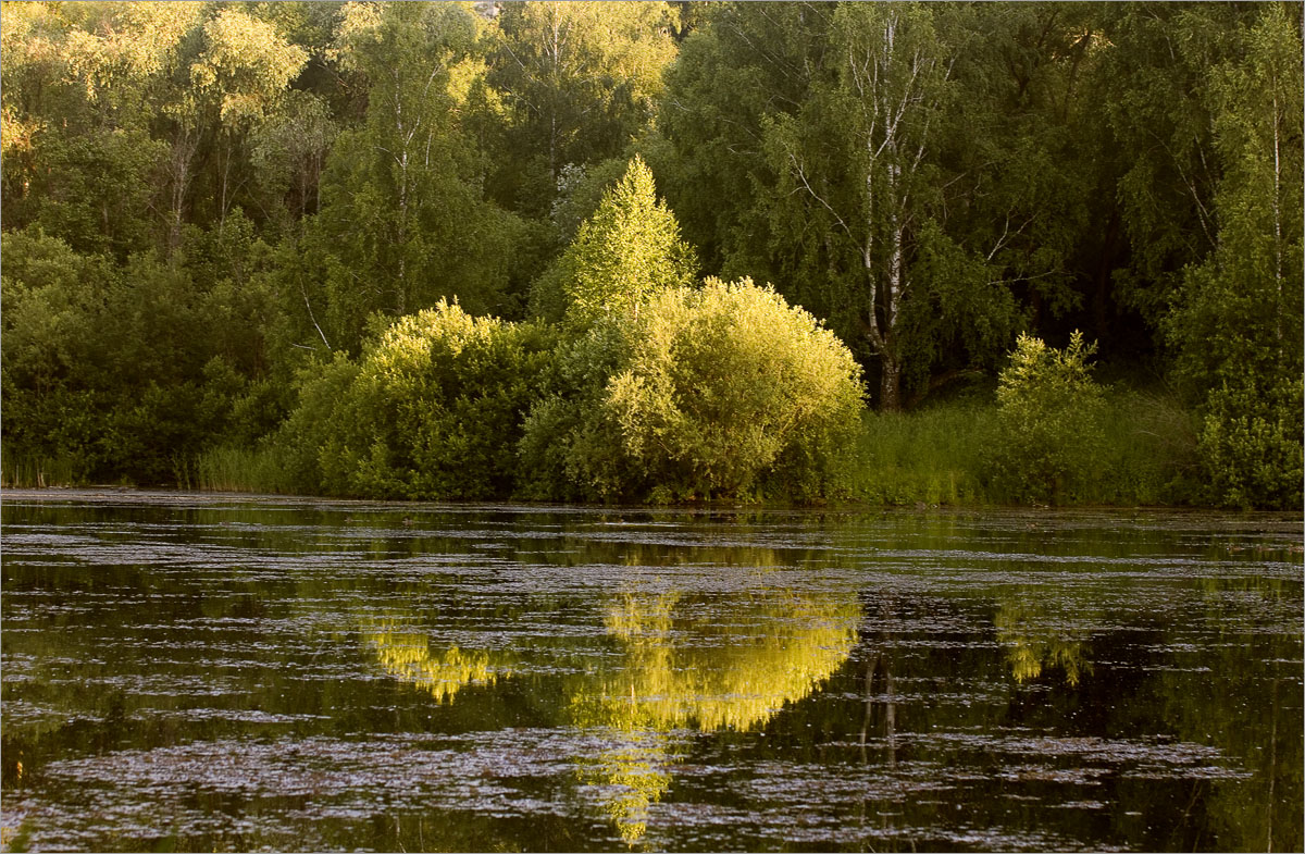 ����� � �����...12 ����� dedo ������. �� PhotoGeek.ru #������ ��� ������� #����� ��������������