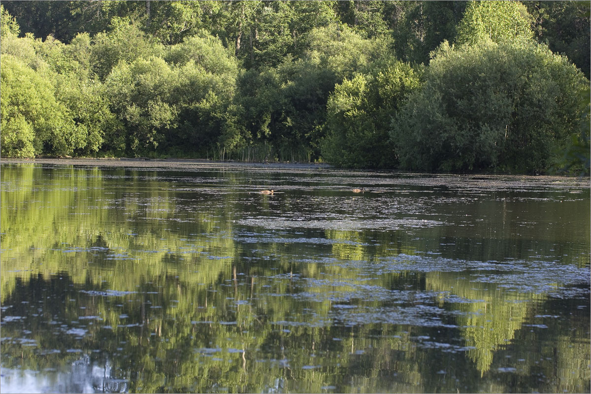 ����� � �����.-13 ����� dedo ������. �� PhotoGeek.ru #������ ��� ������� #���������