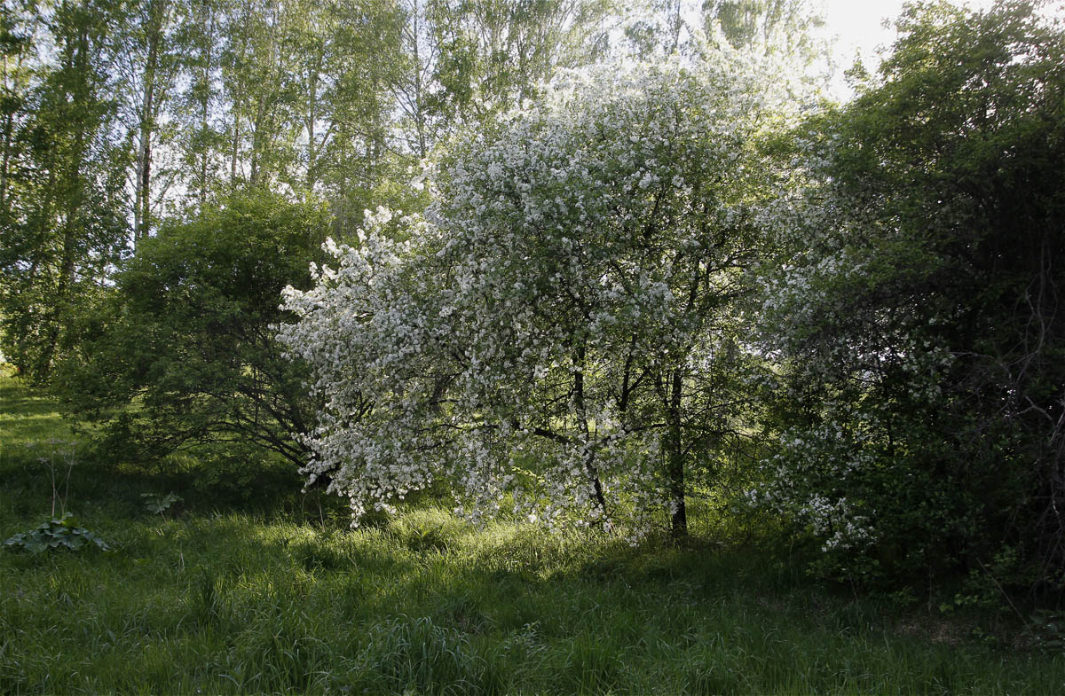 ����� � ����.. ����� dedo ������. �� PhotoGeek.ru #������ ��� ������� #���������