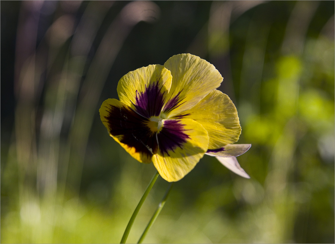 ��������... ����� dedo ������. �� PhotoGeek.ru #������ ��� ������� #���������