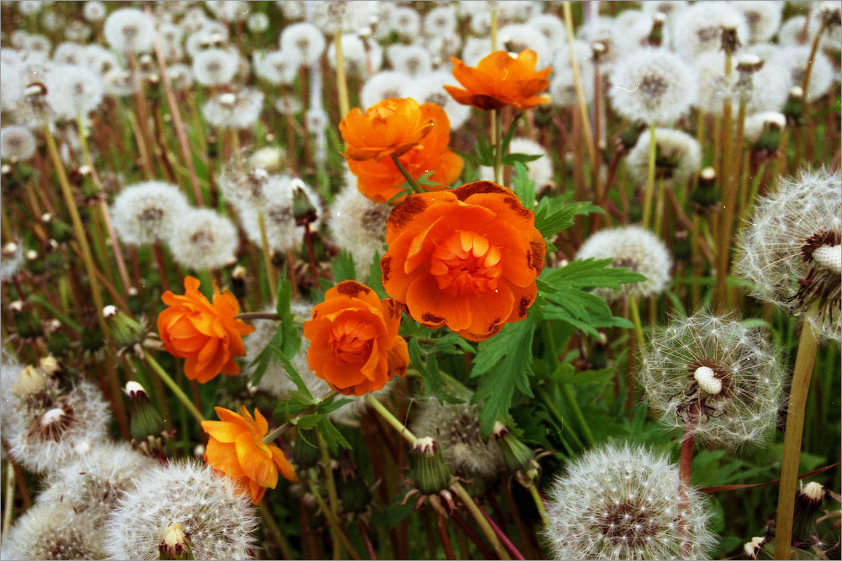 ��������... ����� dedo ������. �� PhotoGeek.ru #������ ��� ������� #���������