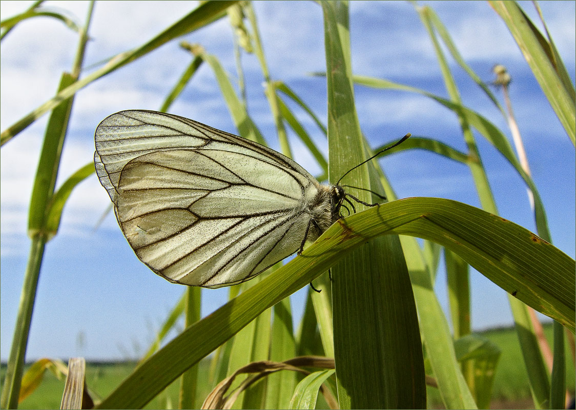 ����... ����� dedo ������. �� PhotoGeek.ru #������ ��� ������� #���������