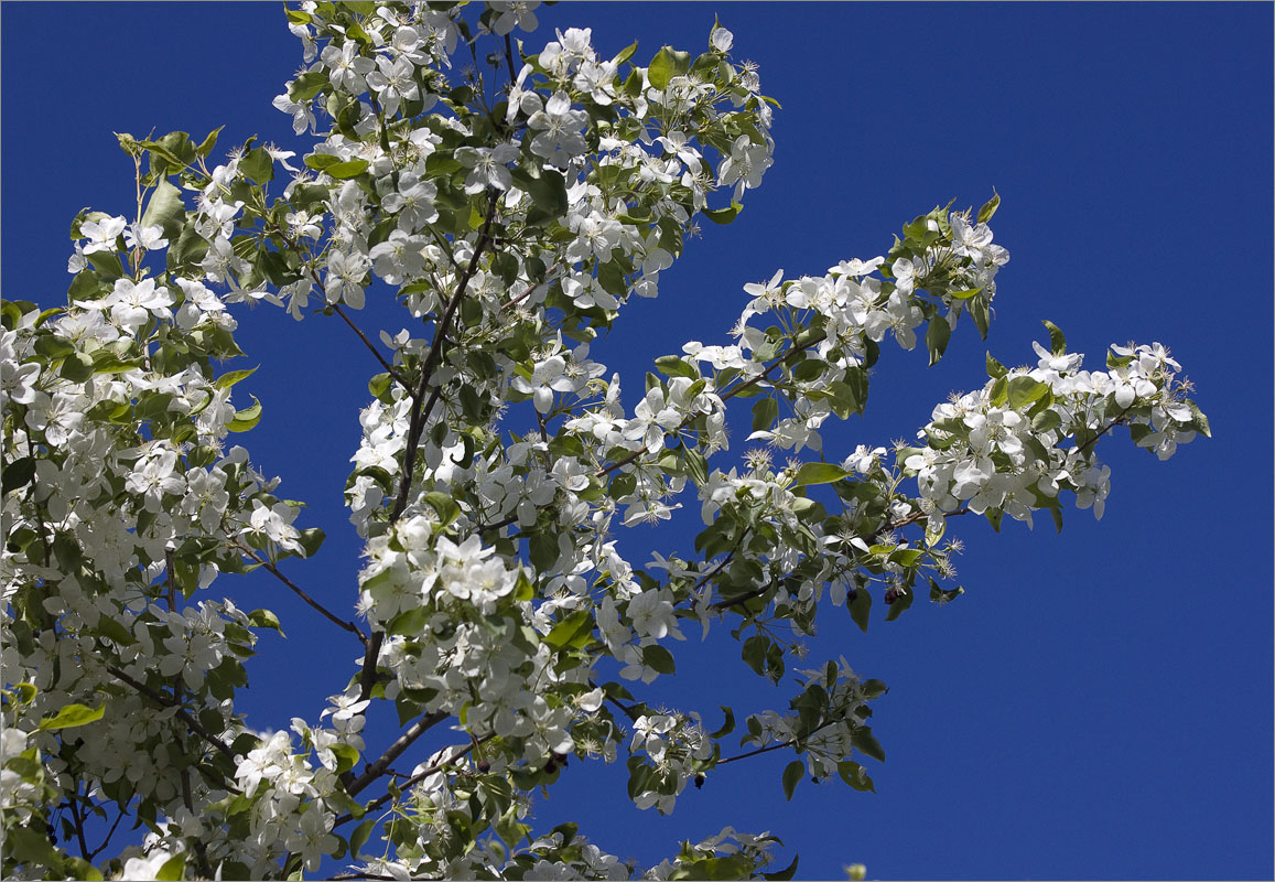 ��������.. ����� dedo ������. �� PhotoGeek.ru #������ ��� ������� #���������