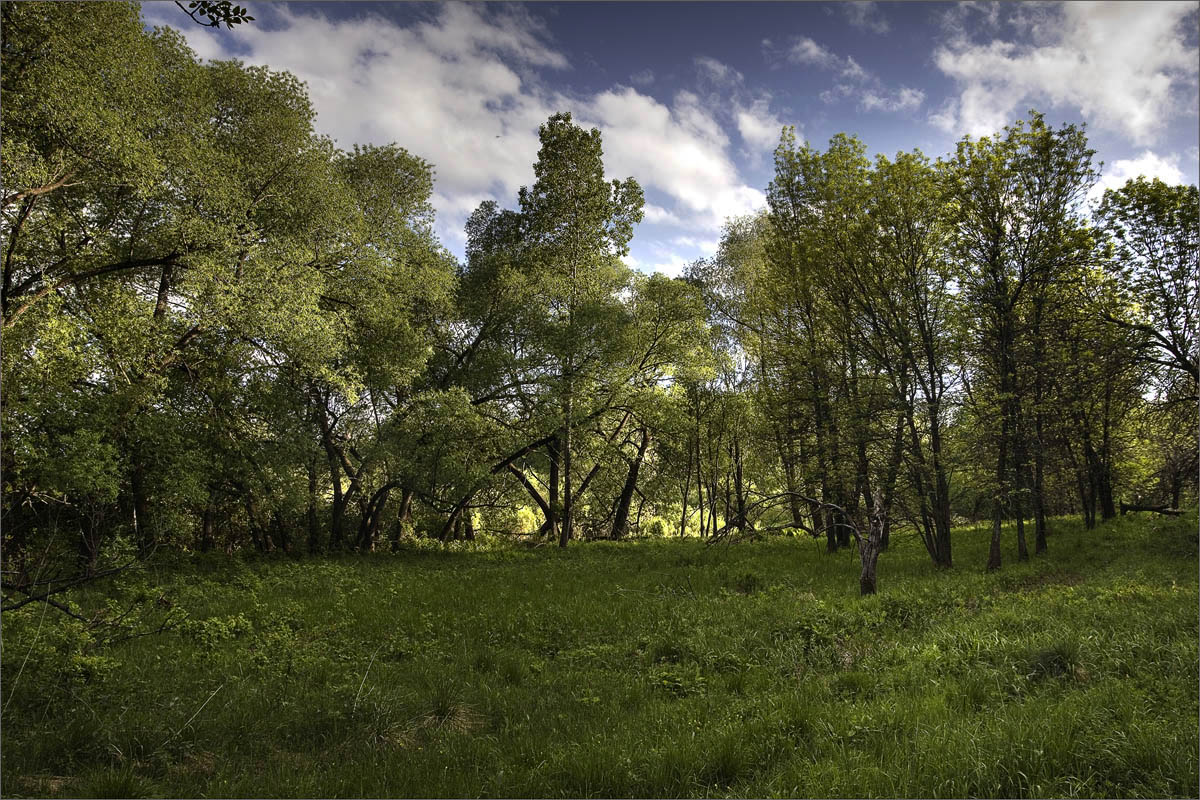 ���� ������... ����� dedo ������. �� PhotoGeek.ru #������ ��� ������� #���������