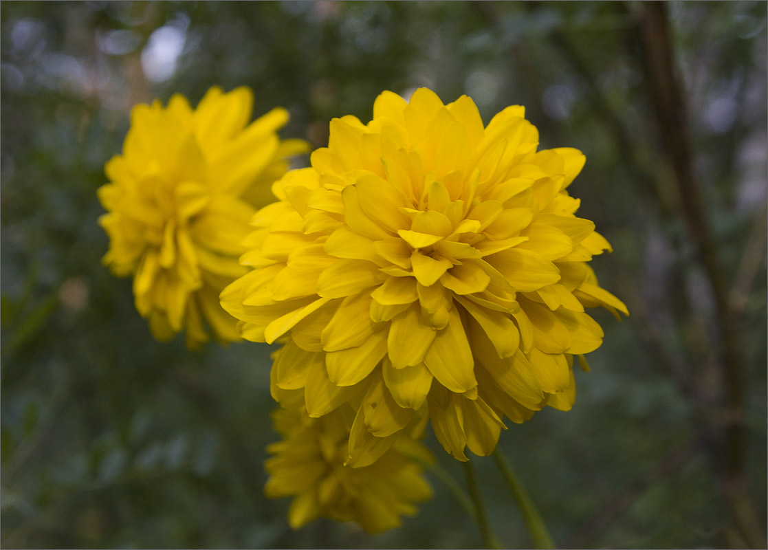 ... ����� dedo ������. �� PhotoGeek.ru #������ ��� ������� #���������