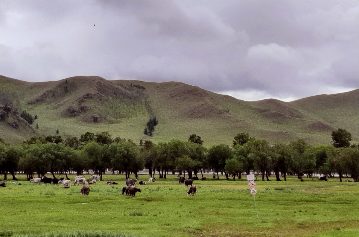 ��������.7 ����� dedo ������. �� PhotoGeek.ru #������ ��� ������� #����� ��������